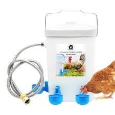 Automatic Chicken Waterer with Float-Controlled System Standing Poultry