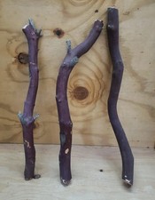 3 Red/grey Manzanita branch 210 Rough Cuts 18-20"