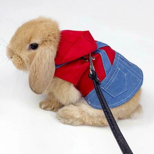 Bunny Harness Vest and Leash For Rabbits Small Animal Dress Clothes C1S1 - Afbeelding 1 van 16