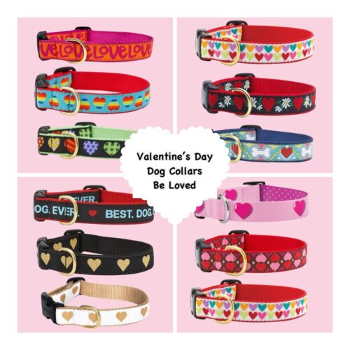 DOG COLLARS VALENTINE'S DAY LOVE  XS, S, M, L, XL, XXL Adjustable Made In USA - Picture 1 of 34