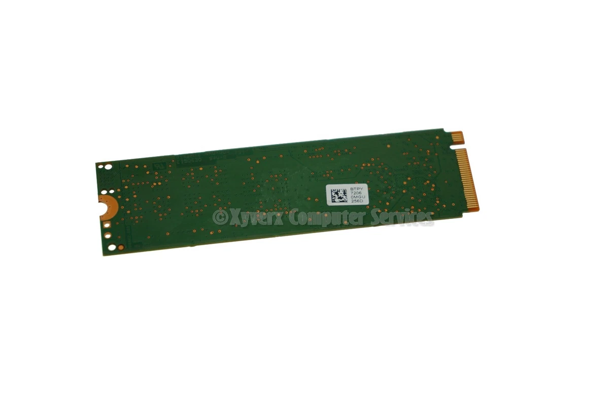Ssdpekkf256g7l shop