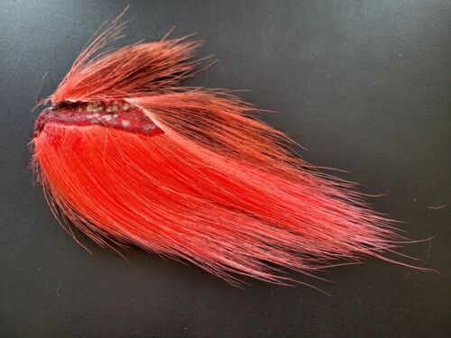Bucktail Patches - 24 Farben - 3-4 Zoll Haare - Fliegenbindematerial - Jig - NEU! - Bild 42 von 63