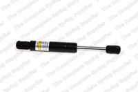 Vorne LesjÖFors 8066700 Gasfeder, Motorhaube FüR Peugeot