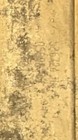 Bild 10 von 10