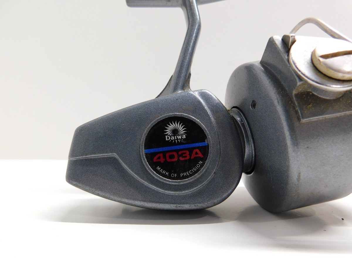 3000 or 4000 reel surf fishing light tackle Amazon.com : Diwa Spinning Fishing Reels for Saltwater Freshwater 3000 4000  5000 6000 7000 Spools Ultra Smooth Ultralight Powerful Trout Bass Carp Gear  Stainless Ball Bearings Metal Body Ice Fishing Reels(3000) : Sports &  Outdoors