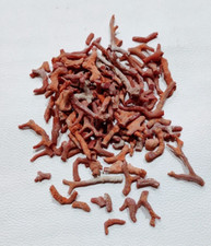Natural Coral Rough Branch-Italian Red Coral Rough Loose Gemstone 30"Carat Lot