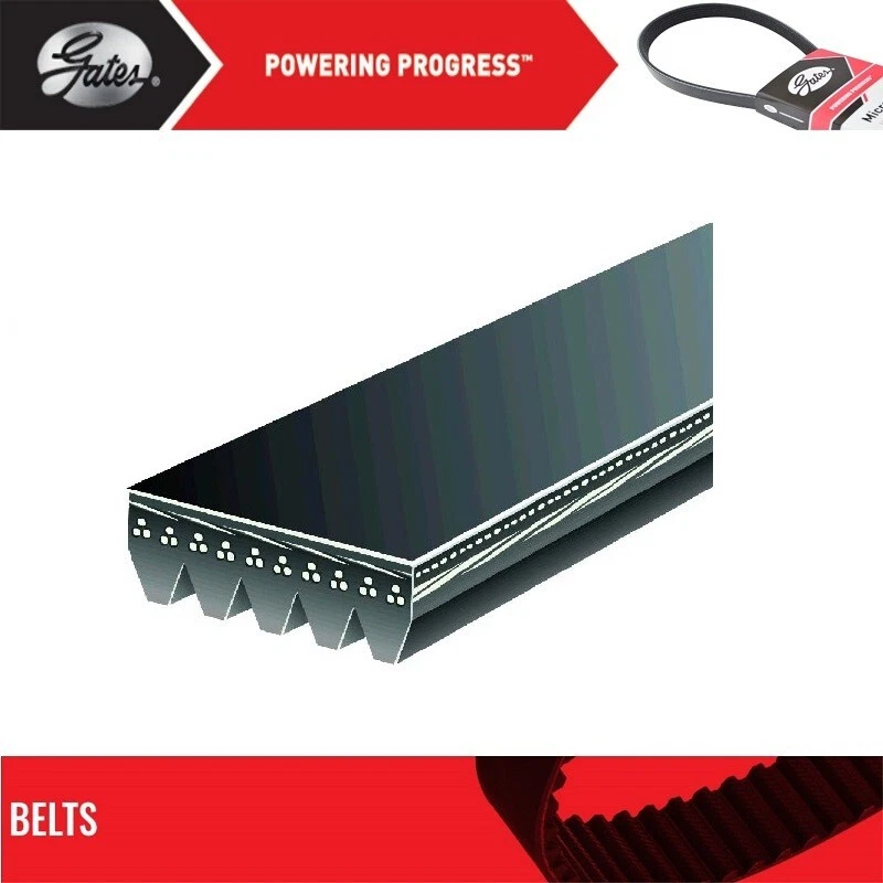 Gates Alternator and Power Steering Belt For 1986-1987 MAZDA 626 L4-2.0L - Image 2 of 4