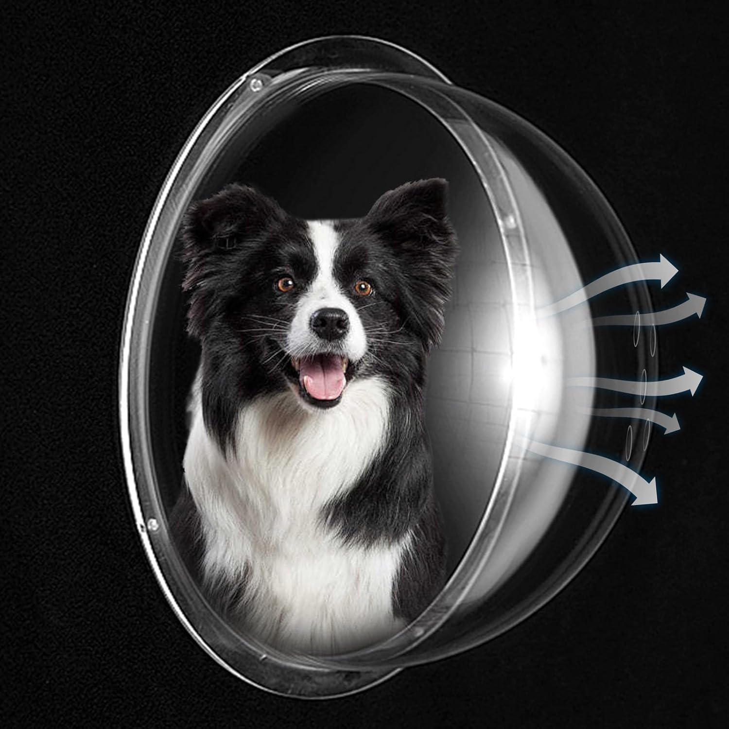 2 PCS Dog Fence Window with Air Holes, Clear Acrylic Pet Dome View