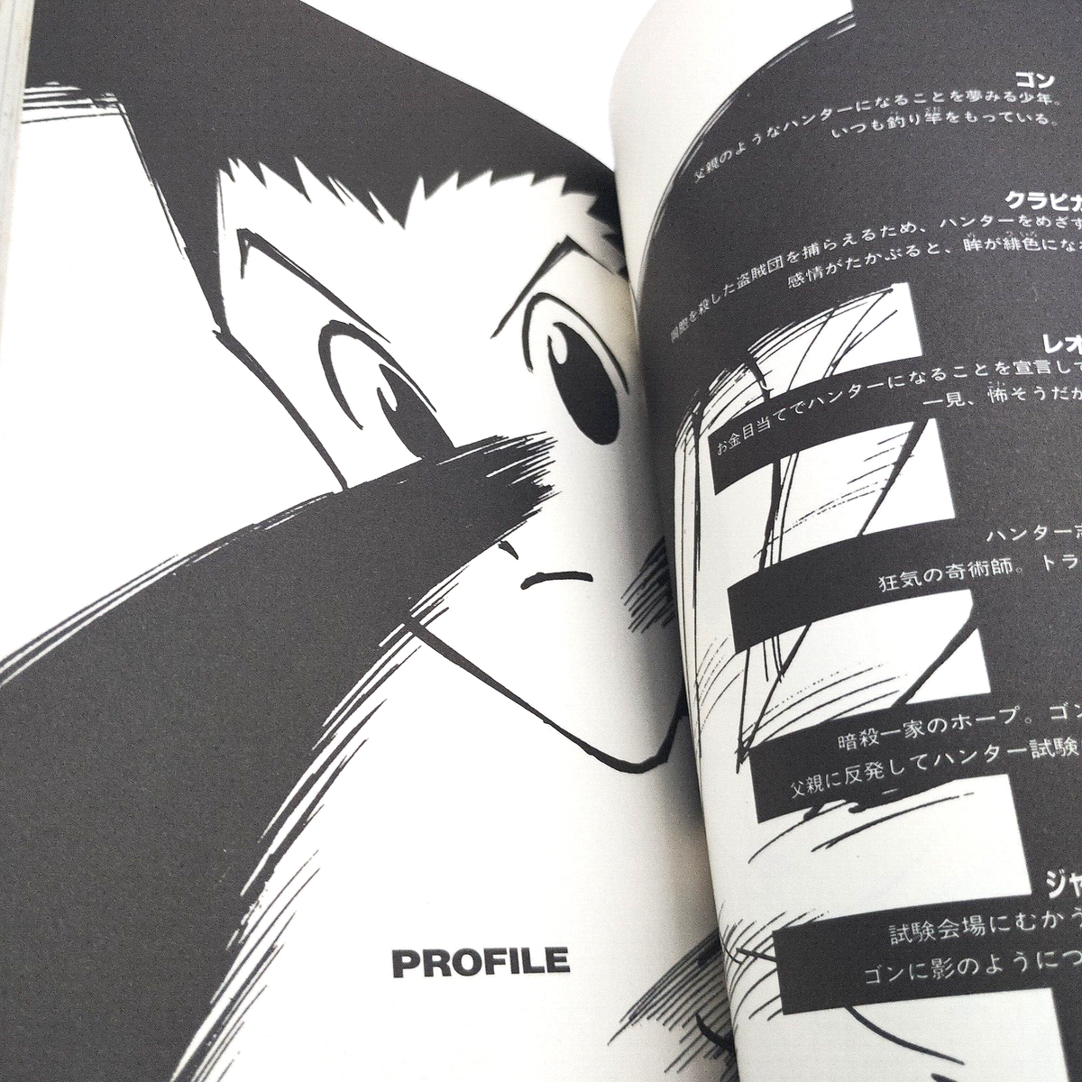 Hunter X Hunter Japanese Novel JUMP j books Shueisha Japanese