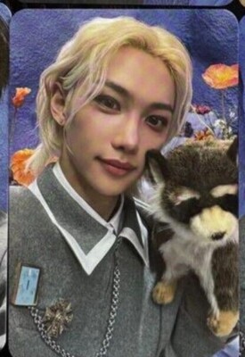 STRAY KIDS MAGIC SCHOOL FANMEETING STAY ZONE 3/29,30,31 PHOTOCARD