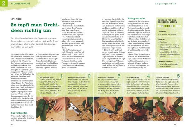 Thumbnail - Orchideen Pflegen