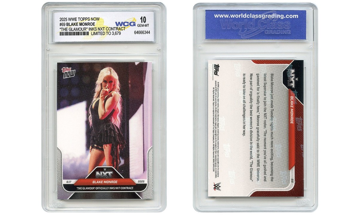 女子プロレス　マリーゴールド　カード　ゼイダスティール　トレカ　WWE NXT WWEを席巻するスター、イヨ・スカイが登場！ 10/26『MARIGOLD GRAND