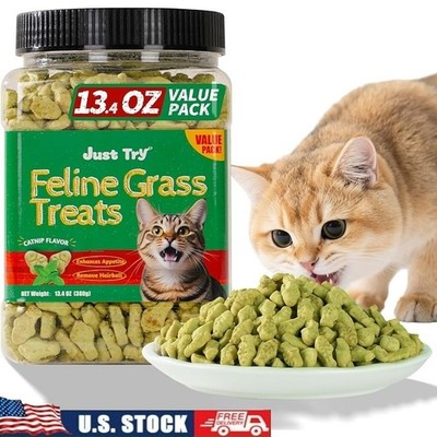 Healthy Salmon Cat Treats Hairball Control Dental Care Snacks Fresh Jar New
