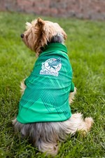 SELECCION MEXICANA Mexico Mexican SOCCER F tbol Team PET cat /DOG uniform shirt