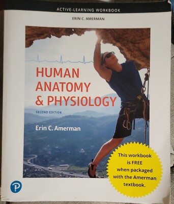 Amerman ACTIVE-LEARNING WORKBOOK FOR HUMAN ANATOMY AND PHYSIOLOGY 2nd Ed UNUSED