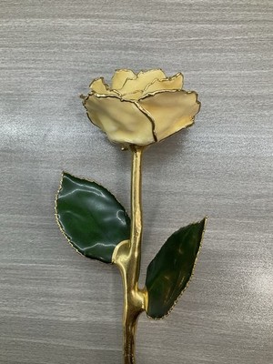 VINTAGE CREAMY OFF WHITE COLORED ROSE 24K GOLD DIPPED ROSE REAL ROSE 