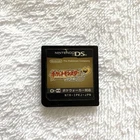 Nintendo DS Pokemon HeartGold Version cartridge only Japanese