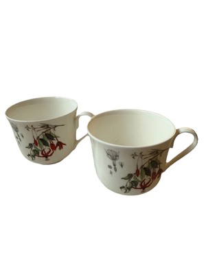 NWT, Set Of 2 Cups W/Saucers Royal Botanic Garden Edinburgh Roy Kirkham Coffee/T