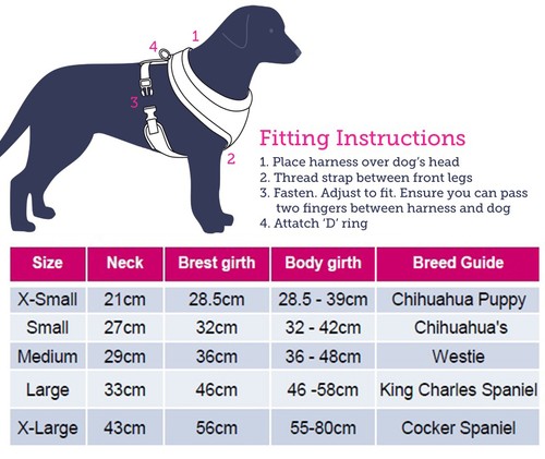 doodlebone dog collars