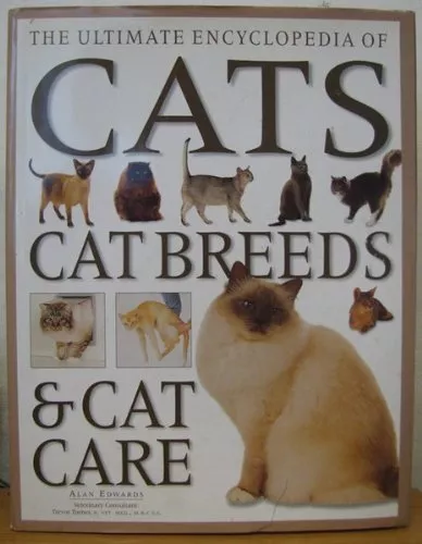 How To Care For Every Cat Breed