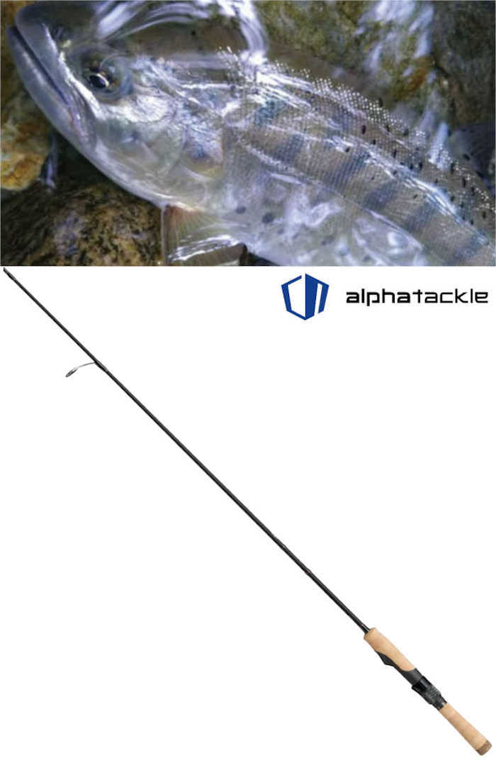 ロッド wrbrr528 61PzoA6n89L._AC_SY200_QL15_.jpg