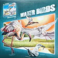 SIERRA LEONE WATER BIRDS STAMPS MNH 2017 PELICAN FLAMINGO WILDLIFE FAUNA BIRD 1