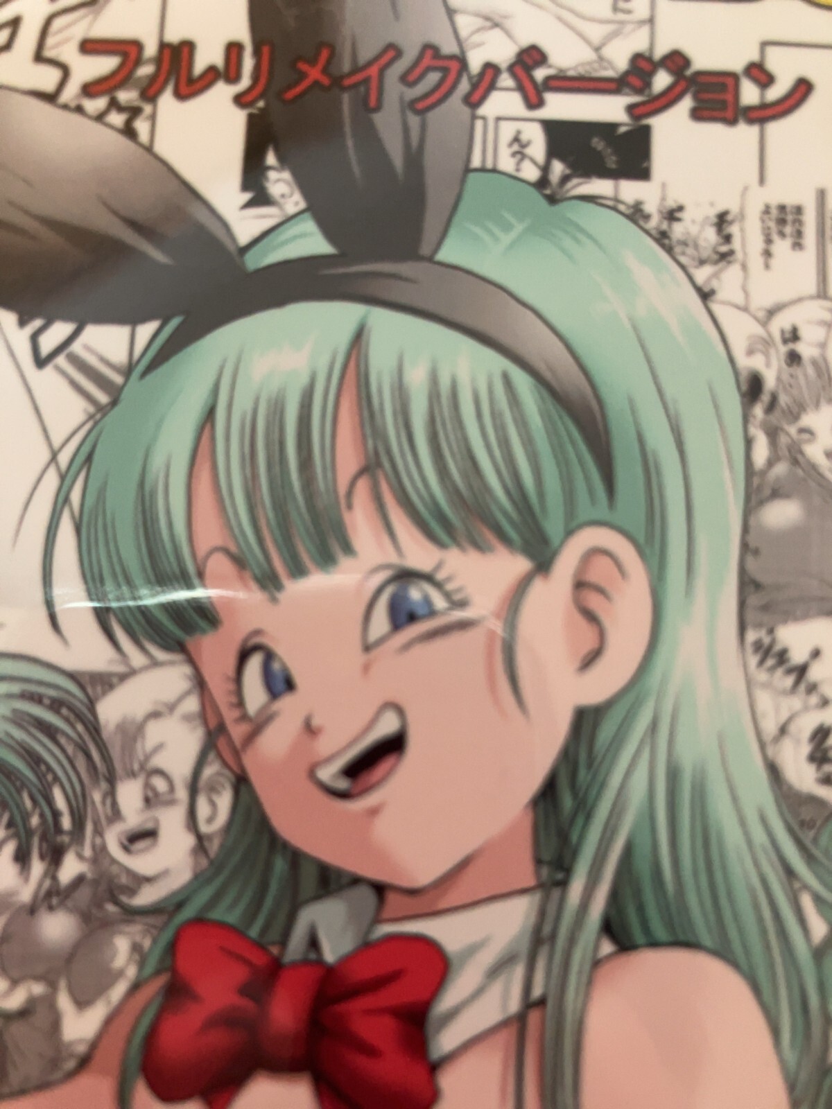 [DB0182] Doujinshi Manga Book DRAGON BALL Episode of BULMA A5/66p DB18