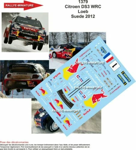 Modellini statici di auto da corsa Rally scala 1:24 Citroën