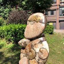 5180g Natural Ammonite Fossil Quartz Crystal Specimen Healing