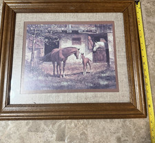 Framed Horse & Foal Print Wall Art, Kids, 16x...