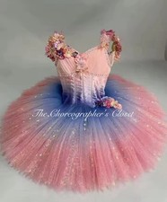 Professional Pink Blue Ombr Fairy Costume Flowers Raymonda Ballet Tutu XS Adu