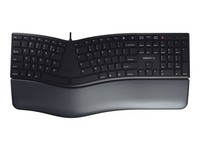 Cherry Kc 4500 Ergo Tastatur Usb Qwerty Us Mit Euro-Symbol Schwarz
