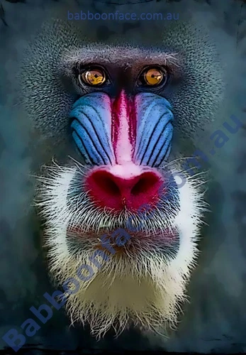 fits Kubota Water Pump D1105  D1005 D1305 V1505 engine with 70 mm impeller - Picture 8 of 9