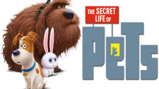 Secret Life of Pets Favores de fiesta y juguetes Gidget Max Duke bola de nieve