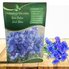 1 LB Cornflower Seeds - Bachelor's Button Drought Tolerant Wild Flower Seed