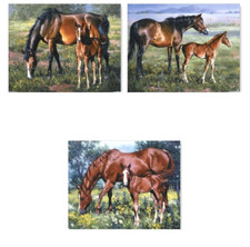 6 BEAUTIFUL HORSE HORSES COLTS EQUESTRIAN STICKERS 3 DESIGNS USA MADE 28b
