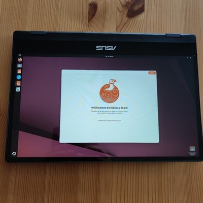Asus Flipbook, Stift, Intel i7 4,9 GHz, 40GB  DDR4 RAM, 1TB SSD, 14 Zoll Display