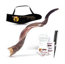 Half Polished Kosher Kudu Shofar Set from Israel, Plus Bag, Officially Signed...