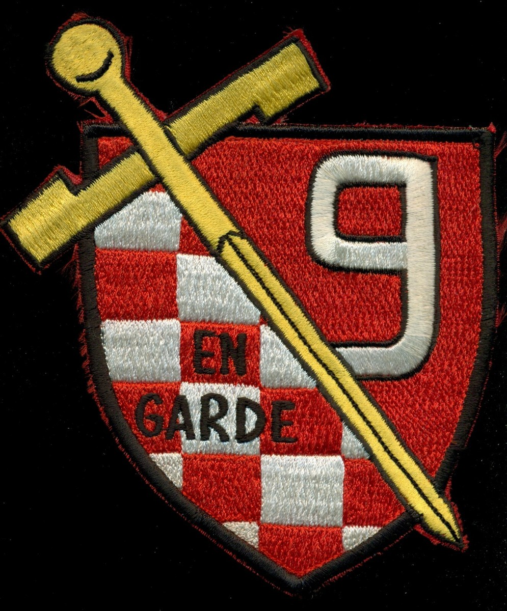 USN Destroyer Squadron Nine DESRON 9 