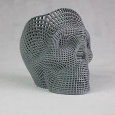 Skull accessories holder/organiser. Desk gadget