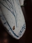 Picture 5 of 8