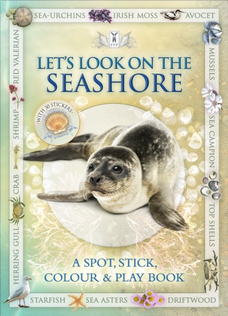 Let's Look on the Seashore by Andrea Pinnington (Paperback Book)