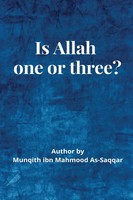 Munqidh Bin Mahmoud Assaqqar | IS Allah (S.W) ONE OR Three? | Taschenbuch (2022)