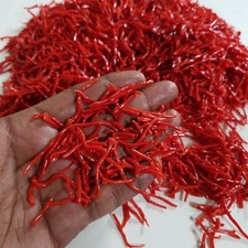 Italian Natural Red Coral Branch Mediterranean Sea Red Coral Gemstone 25"ct Lot