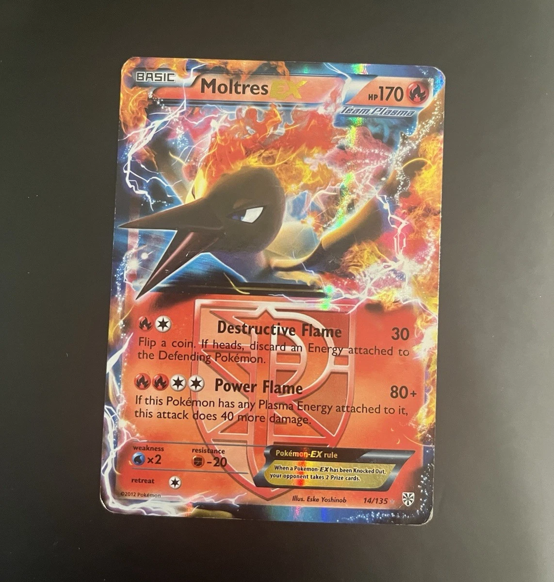 yugioh card sleeves Adorable Purrely Family Holographic Card Sleeves  Kado Supplies