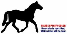 HORSE 5 animal JDM Funny Vinyl Decal Sticker Car Window Bumper Wall Laptop 7"