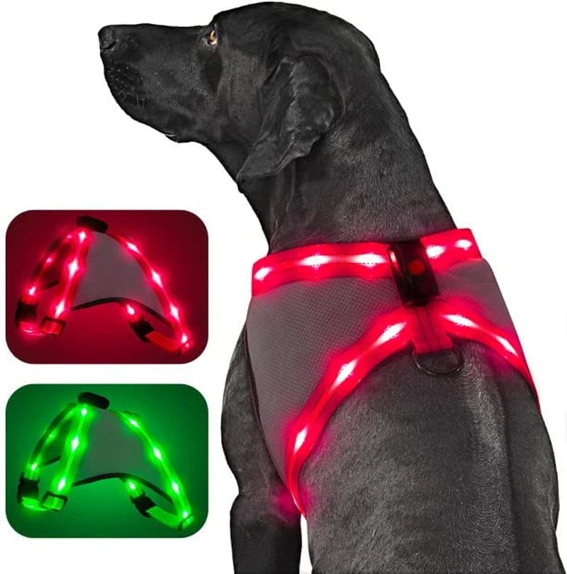 Can I Wash Dog Harness