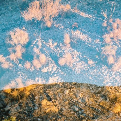 Альбом Moon Gangs Earth Loop (CD) (ИМПОРТИРОВАН из Великобритании)