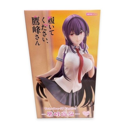 Please Put Them On, Takamine-san Trio-Try-iT Takane Takamine Figur JAPAN NEU