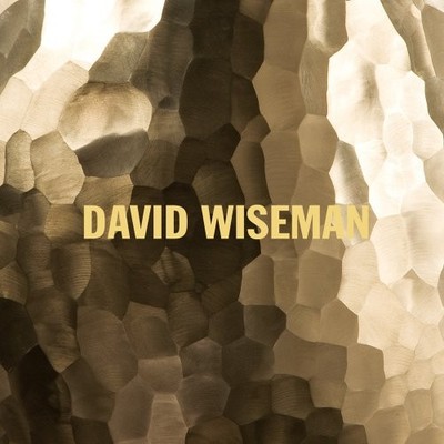 DAVID WISEMAN By Brooke Hodge & Rodman Primack - Hardcover *Excellent Condition*